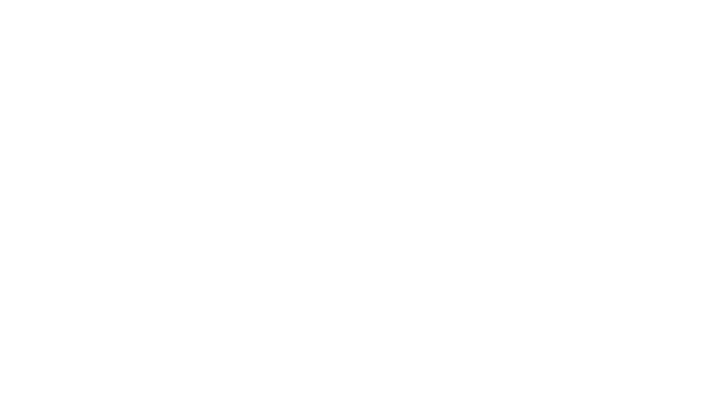 Vip Havale